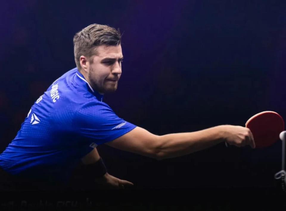 可以明显看 可以明显看